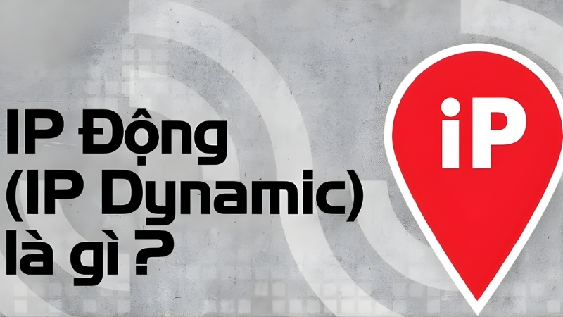 IP động VNPT